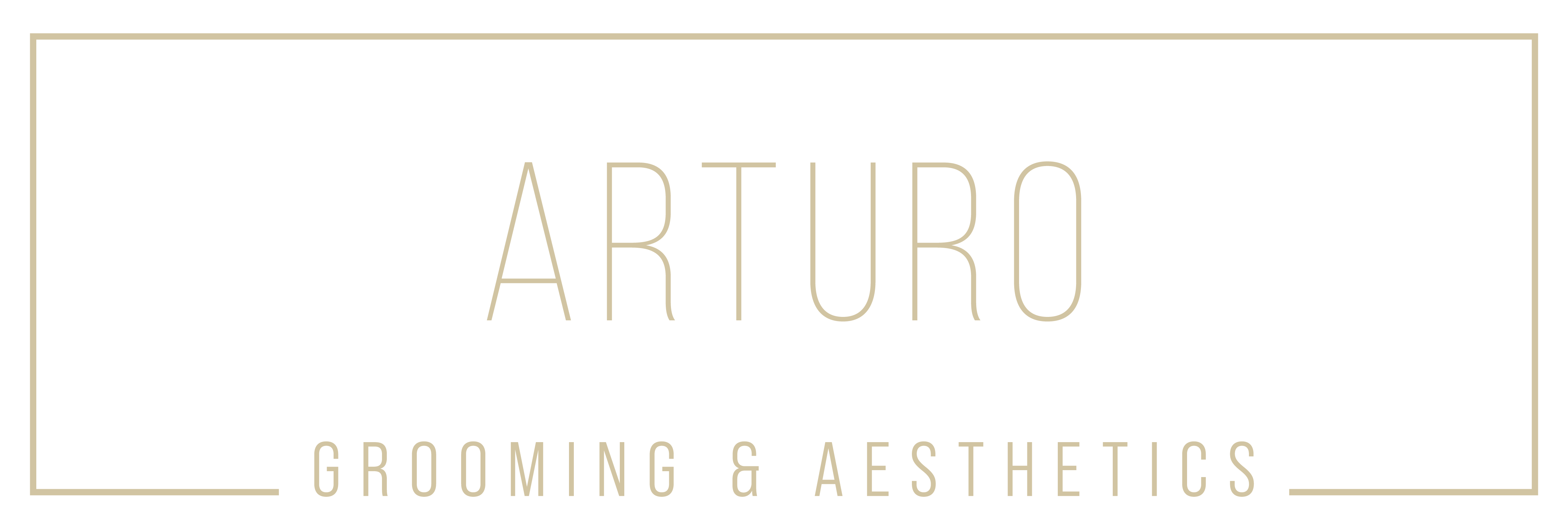 ARTURO logo